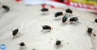 Goodbye SSH Brute-force!