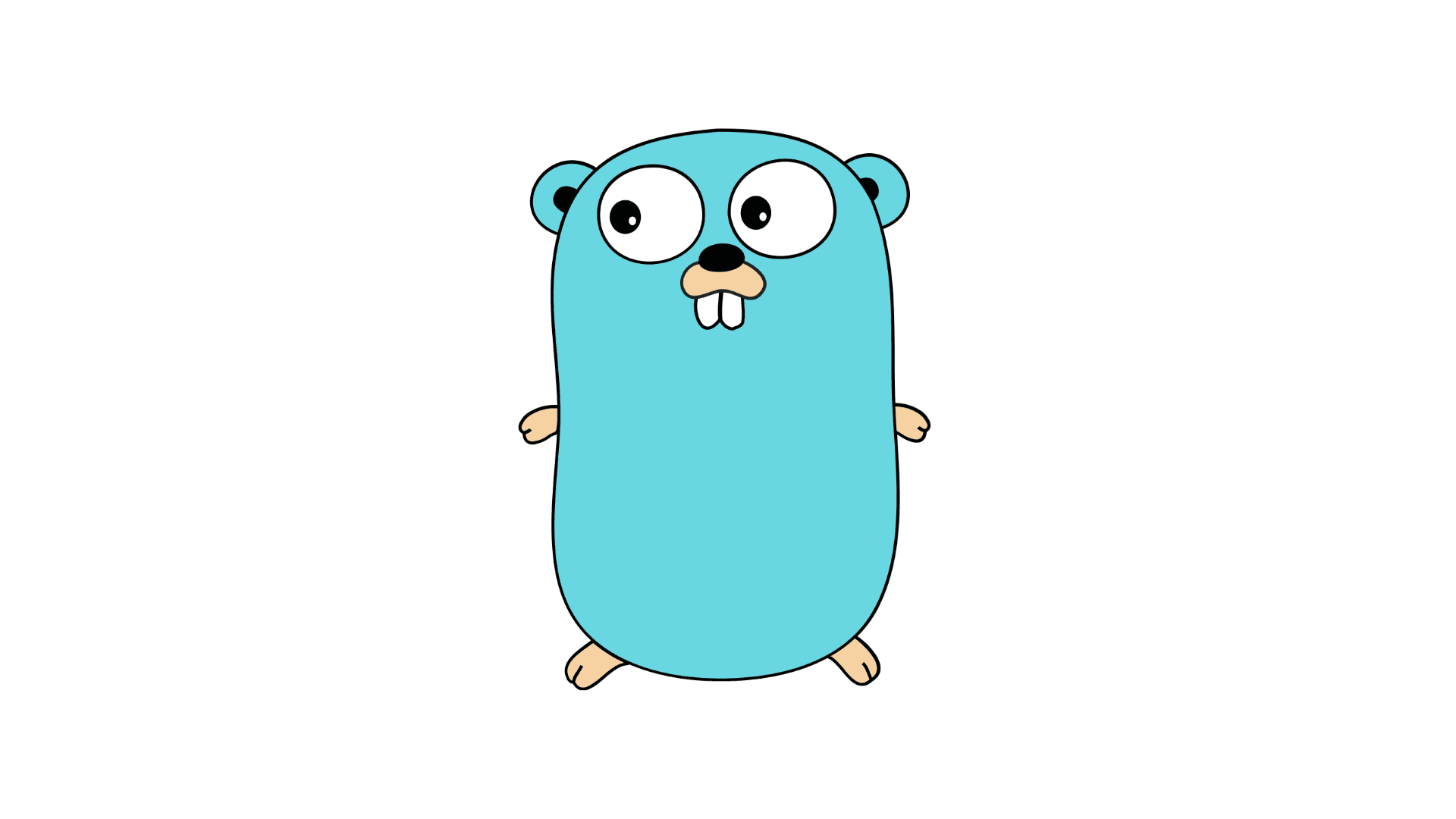 Golang Notes